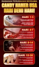 Hamer Ginseng ChillRoot Candy