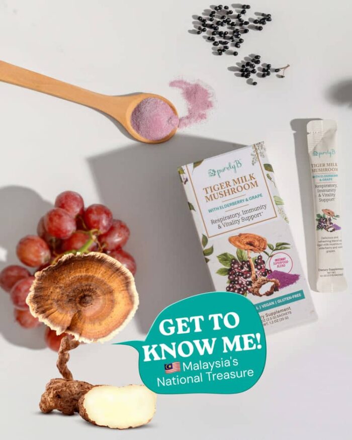 Tiger Milk Mushroom PurelyB™ (TM02-xLr® Extract) | Sokongan Paru-Paru, Imuniti & Kesihatan Harian - Image 6